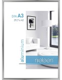 C2 29,7x42 argent poli