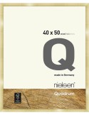 Quadrum 40x50 or