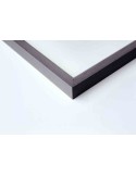 Quadrum profil Gris gorge de pigeon