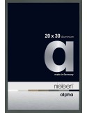 Alpha 20x30 platine