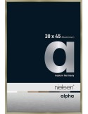 Alpha 30x45 acier brossé