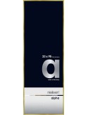 Alpha 33x95 or brossé