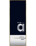 Alpha 33x95 ambre brossé