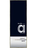 Alpha 33x95 acier brossé
