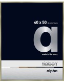Alpha 40x50 acier brossé