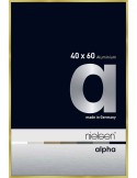 Alpha 40x60 or brossé