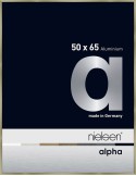 Alpha 50x65 acier brossé