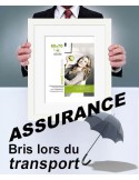 Assurance-casse lors du transport